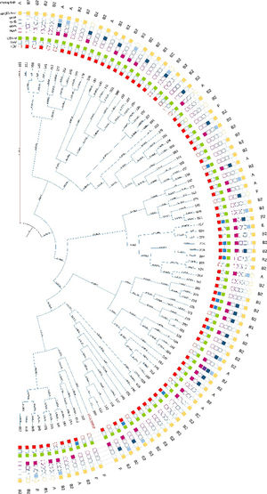 Dendrogram of E. coli isolates, based on ERIC-PCR patterns. Genetic distance is indicated on every branch. Isolate identification is located at the end of each branch, followed by ESBL (blaTEM, blaSHV, blaCTX−M), PMQR genes (oqxA, oqxB, qnrB, qepA, aac(6′)-lb-cr) and phylogenetic group. Filled cubes represent the presence of the corresponding gene.