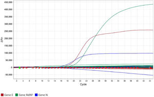 Amplification curves of the three genes from the RT‐qPCR for SARS-CoV-2 detection, using the Allplex™ 2019-nCoV Assay Kit (Seegene, South Korea) in the QuantStudio™ 5 Real-Time PCR System (Applied Biosystems™, Thermo Fisher Scientific). The curves are: red for the E gene, blue for the N gene, and green for the RdRP gene. The y‐axis shows ΔRn, which is the magnitude of the normalized fluorescence signal generated by the fluorophore at each cycle during the PCR amplification. The x‐axis shows the number of cycles. Only the positive control crossed the threshold of 8000 ΔRn for the E gene, 13,000 for the N gene, and 25,000 for the RdRP gene.