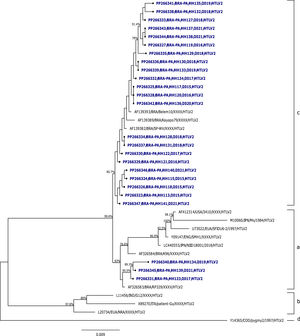 Phylogenetic tree of HTLV-2, based on the nucleotide sequence of the gene encoding the 5′LTR region. Bootstrap values are indicated at the nodes of the tree, with blue referring to samples from this study.