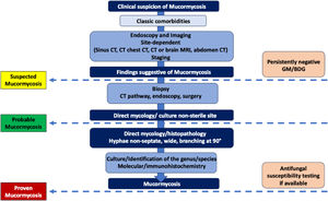 Diagnostic pathway and classification criteria for mucormycosis.