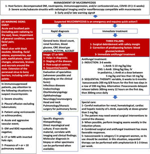 Steps for the management of mucormycosis in Brazil. ALT, Alanine Aminotransferase; AST, Aspartate Aminotranferase; BDG, Beta-d-Glucan; CNS, Central Nervous System; CRP, C-Reactive Protein; CT, Computed Tomography; GM, Galactomanan; l-AmB, Liposomal Amphotericin B; MRI, Magnetic Resonance Imaging; PT, Prothrombin Time; TTPA, Activated Partial Thromboplastin Time.
