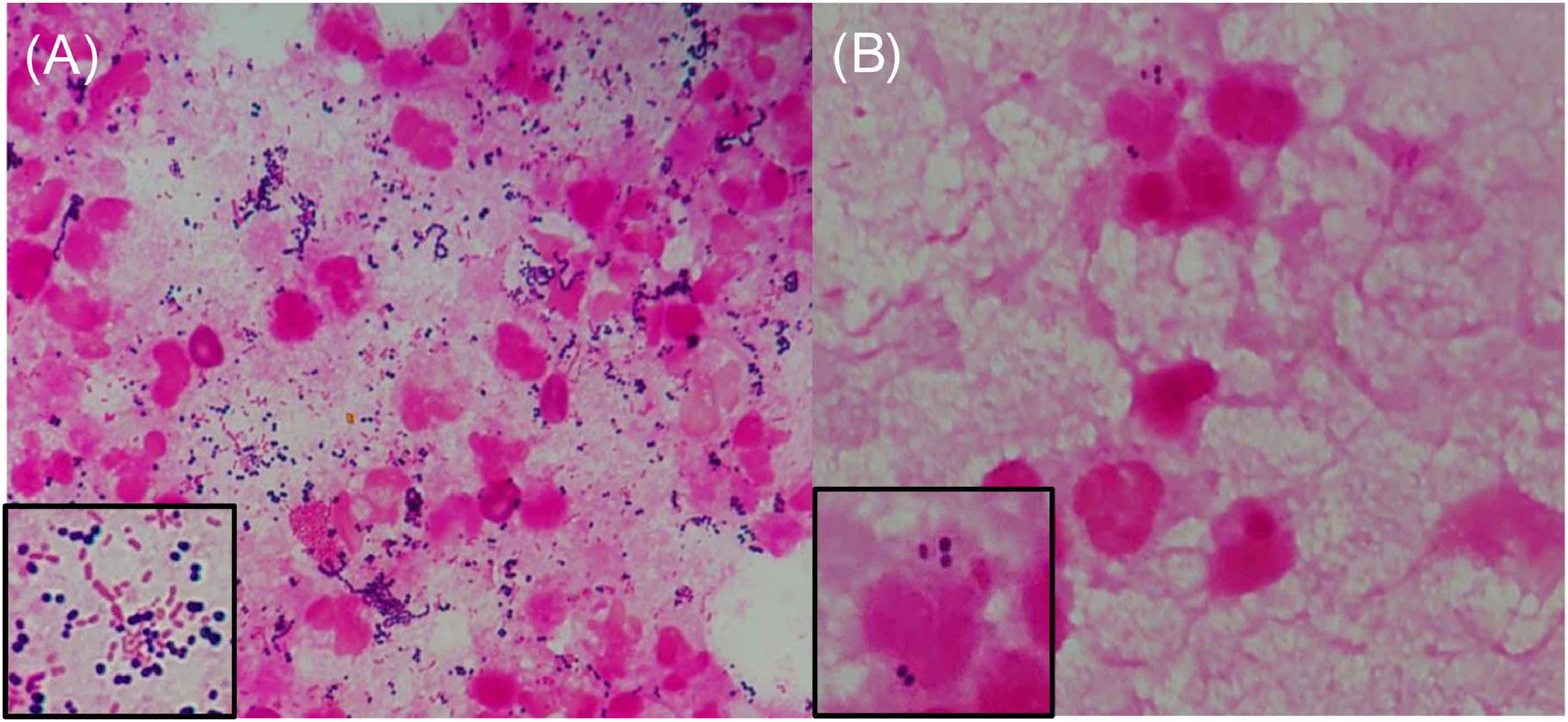 fig0002