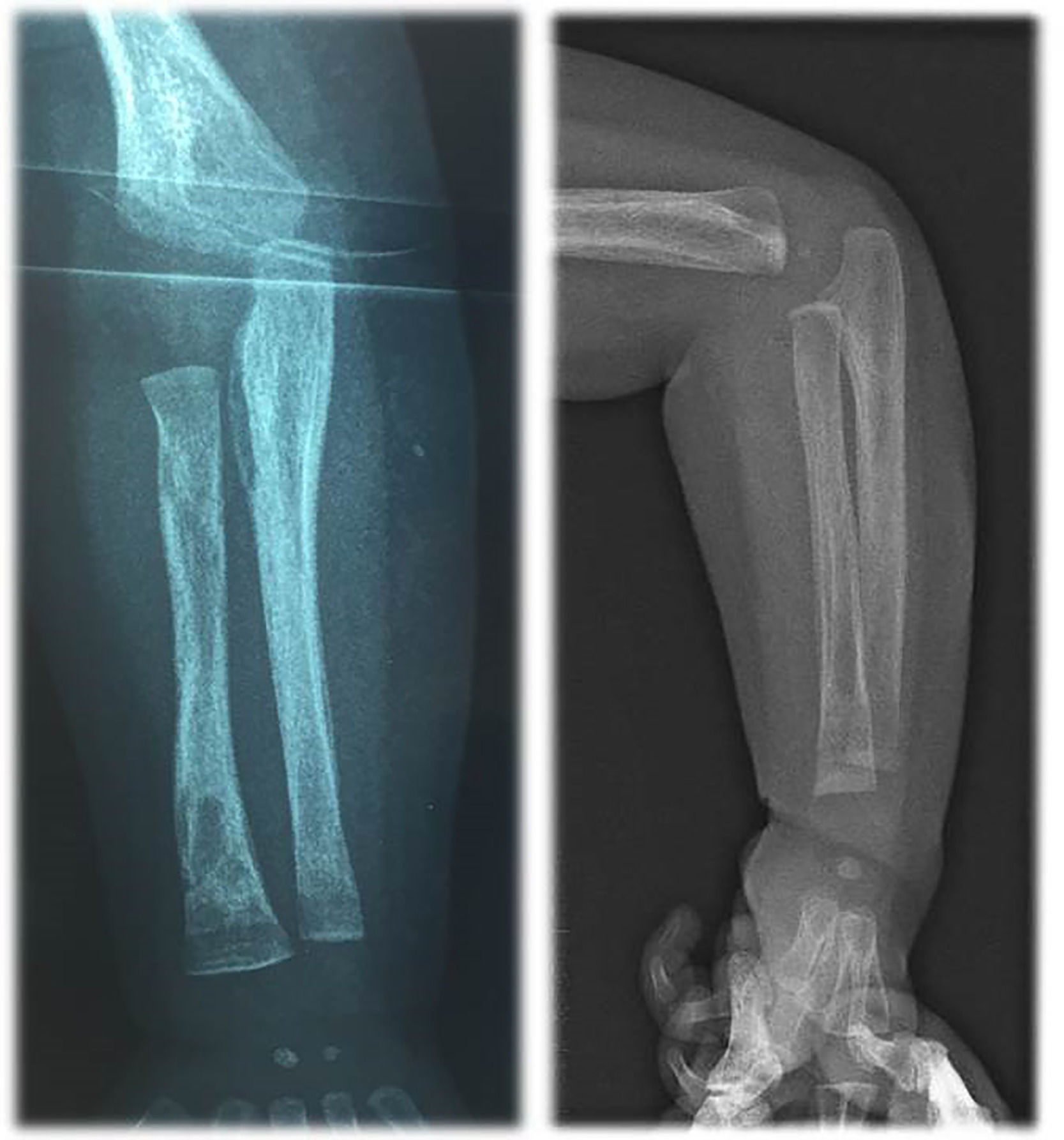 fig0001