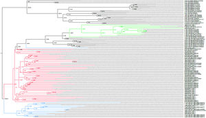 Phylogenetic characterisation of HIV-1 pol sequences obtained from children and adolescents with virological failure in Northeast Brazil. Red: Subtype B; Green: Subtype F1; Blue: BF recombinants.