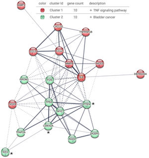 Interacting network of altered genes in lung tissues and cells derived from lung malignancies from PLWH. The list of genes from Table 1 was analyzed in STRING, Version 12.0. Two clusters were identified that, as expected, are related with cancer development and the TNF signaling pathway involving proinflammatory genes. As mentioned in the main text, *PTEN, *SIX1 and p16INK4a (also known as *CDKN2A) are potential biomarkers of lung cancer prognosis.TP53 is synonym of p53.