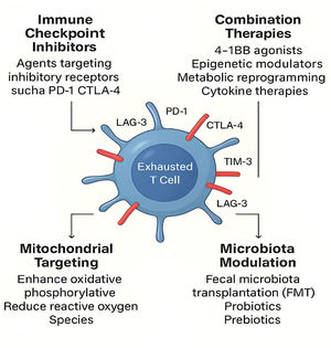 Therapeutic strategies to reverse T-cell exhaustion. This figure illustrates key therapeutic strategies designed to counteract T-cell exhaustion in chronic bacterial infections: (i) Immune Checkpoint Inhibitors (ICIs): Blockade of inhibitory receptors such as PD-1 and CTLA-4 can reinvigorate exhausted T-cells and restore their effector functions, particularly in progenitor-exhausted subsets. (ii) Combination therapies: The integration of ICIs with agents like 4–1BB agonists, epigenetic modulators, cytokines (e.g., IL-2), and metabolic reprogramming compounds enhances therapeutic outcomes by addressing multiple exhaustion pathways. (iii) Mitochondrial targeting: Approaches aimed at restoring mitochondrial function include promoting oxidative phosphorylation, enhancing fatty acid oxidation, and reducing reactive oxygen species to improve T-cell metabolism and function. (iv) Microbiota modulation: Interventions such as Fecal Microbiota Transplantation (FMT), prebiotics, probiotics, and dietary fiber aim to rebalance gut microbiota, enhancing systemic immunity and reversing immune dysfunction associated with T-cell exhaustion.