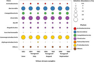 Relative abundance of predominant phyla groups from urban stream samples collected during the winter season (June – September) 2021. Only major taxa (> 2% total abundance) were included. Phyla with abundances < 2% are designated as “Others”.