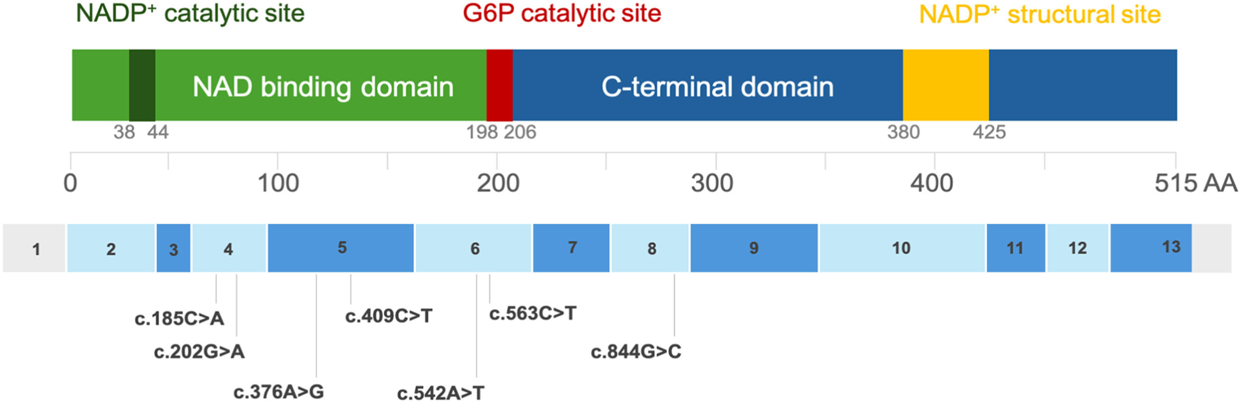 fig0001