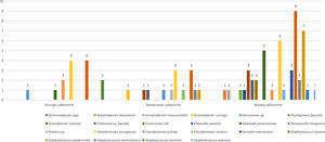 Species distribution of biofilm producers.