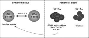 Immunological crosstalk between chronic lymphocytic leukemia B-cells and CD4 T-cells.