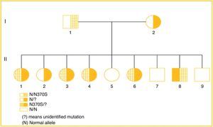 Family heredogram showing segregation of the two mutations.