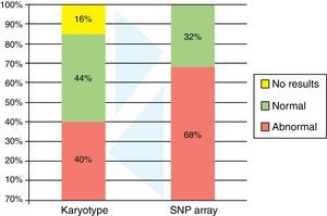 Results of karyotyping (abnormal: 10 patients, normal: 11 patients and no results: 4 patients) and bone marrow single nucleotide polymorphism array analysis (SNPa; abnormal: 17 patients and normal: 8 patients).