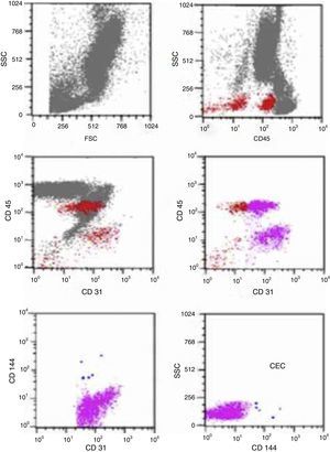 Analysis strategy for the identification of mature circulating endothelial cells (CEC) by flow cytometry. The negative population for CD45 was selected and analyzed for the positivity of endothelial markers (CD144, CD146, CD31 and CD133 anti-VEGFR2).