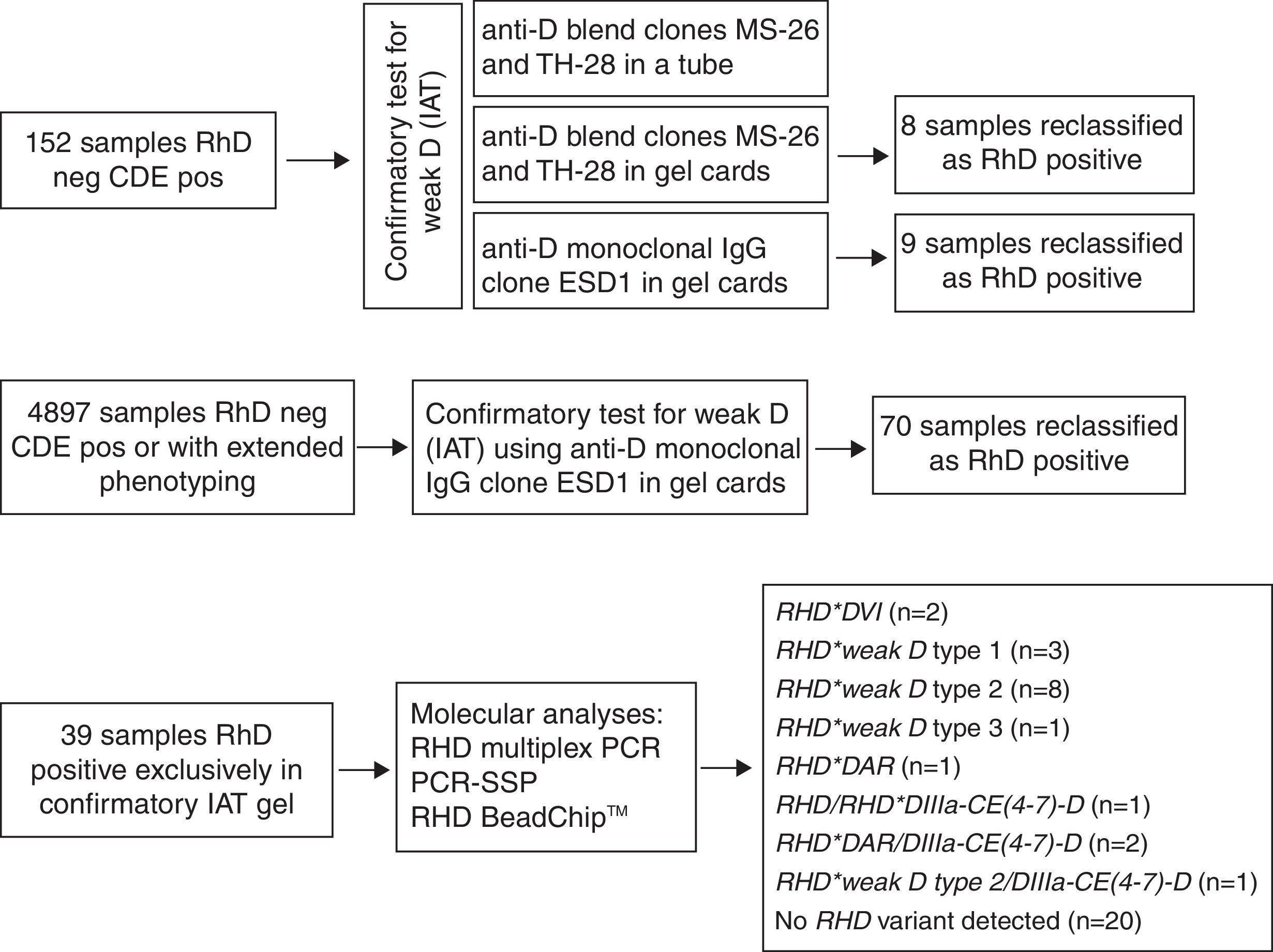 Impact of a confirmatory RhD test on the correct serologic typing of ...