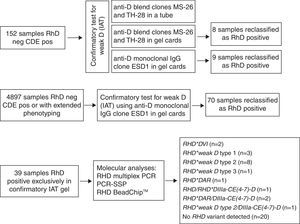 Flowchart for the serological and molecular confirmatory RhD tests performed for blood donors.