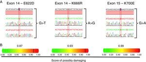Heterozygous mutations in SF3B1 found in six MDS patients. (A) Chromatograms of regions of exons 14 and 15 presenting nucleotide substitutions that lead to amino acid changes in the SF3B1 protein; one patient exhibited an E622D substitution, another one, a K666R, and four patients presented the most common described substitution, K700E. (B) Representation of the impact of each amino acid substitution on the protein structure and function, as well as a predicted score ranging from 0 to 1, in which 1 represents the higher probability of damaged protein.