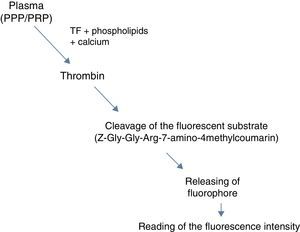 Schematic of the thrombin formation reaction and cleavage of the fluorescent substrate.