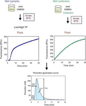 Steps of the calibrated automated thrombogram (CAT) method and thrombin generation parameters. PPP: platelet-poor plasma; Fluca: fluorescent substrate plus calcium; HNBSA: HEPES, NaCl, and bovine serum albumin buffer.