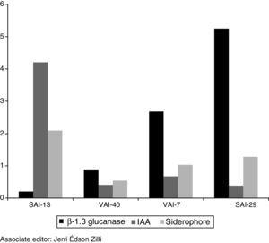 Expression profile of IAA, β-1,3-glucanase and siderophore genes of four actinomycetes strains.