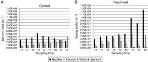 Density value of each bacterial morphotype observed in control (A) and treatment (B).
