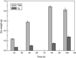 Growth rates of the wild-type strain and pksT-2 disruptant. The wild-type strain and pksT-2 disruptant were inoculated in liquid MM medium (1×106conidia/mL) and grown at 28°C for 24, 48h and 72h, 150rpm/min respectively. The data represent the mean±S.D (n=3). Black bar: wild-type; white bar: pksT-2 disruptant.