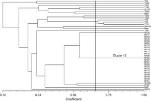 Dendrogram for the ERIC-PCR pattern of E. coli isolates resistant to antibiotics with class 1 integron from superficial water calculated using the Jaccard coefficient and UPGMA clustering. Isolates T – city of Tapes; SL – city of São Lourenço do Sul; B, SM, M – estuary of Patos Lagoon. The axis indicates the similarity index and the vertical line indicates the 70% similarity cut-off. *Asterisk indicates cluster 10.