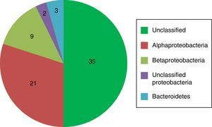 Phylum- and class-level grouping of the bacterial clone library.