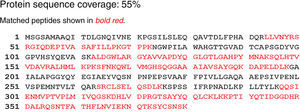 Partial amino acid sequence of the isolated lipase showing homology with Acinetobacter calcoaceticus (55% identity).
