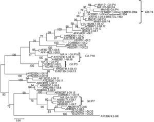 Phylogenetic tree based on the polymerase sequence of norovirus. The study samples are marked in bold, and the tree was constructed using maximum likelihood analysis. The evolutionary model selected for the polymerase tree was TPM3+G4. The test was performed with 1000 bootstrap replicates, and the cut-off value was 70%.