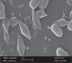 Spore–crystal morphology of Bt SY49-1 strain. B, bipyramidal; C, cubic; S, spherical; I, irregularly shaped spherical; Sp, spore.