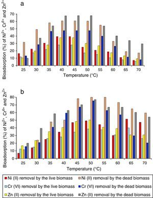 (a) Effect of different temperatures on the biosorption capacity of Ni2+, Cr6+ and Zn2+ (%) from aquous solution by the live and dead cells of Nocardiopsis sp. MORSY1948. (b) Effect of different temperatures on the biosorption capacity of Ni2+, Cr6+ and Zn2+ (%) from aquous solution by the live and dead cells of Nocardia sp. MORSY2014.