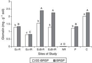 Total BRSP and easily extractable glomalin (EE-BRSP) contents in samples from the direct field soil samples corresponding to the contaminated and rehabilitated areas (Ec-R, Ec-IR, EcB-R, and EcB-IR), to the non-rehabilitated area (NR), and to the non-contaminated areas [Cerrado (C) and Pasture (P)]. Uppercase letters – comparison of BRSP values; lowercase letters – comparison of EE-BRSP values. Bars with the same letter do not differ by the Scott–Knott test (p<0.05).