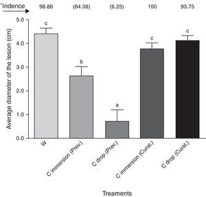 Preventive (Prev.) and curative (Curat.) effects of the chitosan (C) (10mgmL−1) on the incidence (%) and severity (cm) of blue mold of P. expansum. The apples were treated by the application of drops onto the wound or by fruit immersion in a suspension of chitosan. Control treatment (immersion in water – W). Bars (mean and standard deviation) followed by the same letter do not differ by Tukey