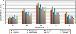 The effect of temperature on the antimicrobial activity of Arthrobacter kerguelensis VL-RK_09. The data were statistically analyzed and found to be significant at a 5% level.