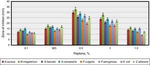 The effect of the different concentrations of peptone as a sole nitrogen source on the antimicrobial activity of Arthrobacter kerguelensis VL-RK_09. The data were statistically analyzed and found to be significant at a 5% level.