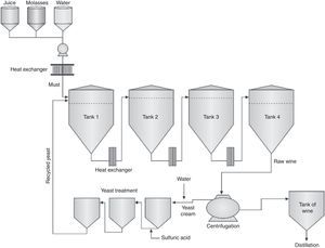 Simplified drawing of a continuous fermentation process currently adopted by Brazilian distilleries.