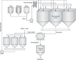 Simplified drawing of a fed-batch fermentation process with the recycling of yeast cells currently adopted by Brazilian distilleries.