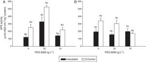 Ascorbate peroxidase (APX) activity in the leaves of Nipponbare (a) and Piauí (b) rice plants inoculated with DSE isolate A (Err01) or not inoculated (control) with different additions of PEG 6000; the values are the means±standard error (n=4); different lowercase letters within the same PEG 6000 level or uppercase letters between different PEG 6000 levels indicate significant differences according to Tukey's test at p<0.05.