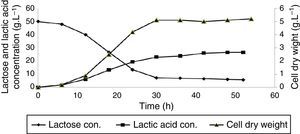 Cell dry weight and lactic acid production as well as lactose consumption profile for Lactobacillus delbrueckii subsp. bulgaricus PTCC1737 in a submerged batch culture of deproteinized whey at 37°C with 50rpm agitation speed for 52h.