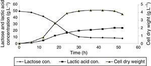 Cell dry weight and lactic acid production as well as lactose consumption profile for Lactobacillus casei subsp. casei PTCC1608 in a submerged batch culture of deproteinized whey at 37°C with 50rpm agitation speed for 52h.