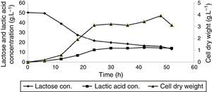 Cell dry weight and lactic acid production as well as lactose consumption profile for Lactobacillus delbrueckii subsp. lactis PTCC1743 in a submerged batch culture of deproteinized whey at 37°C with 50rpm agitation speed for 52h.