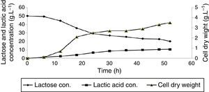 Cell dry weight and lactic acid production as well as lactose consumption profile for Lactobacillus fermentum PTCC1744 in a submerged batch culture of deproteinized whey at 37°C with 50rpm agitation speed for 52h.