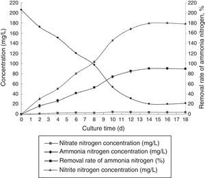 Ammonia nitrogen removal ability of immobilized ammonia-oxidizing bacteria under optimal conditions.