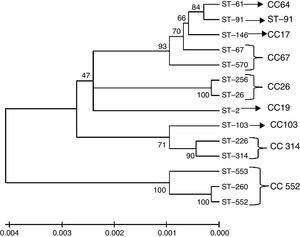 Dendrogram constructed by the neighbour joining method based on concatenated sequences from multilocus sequence typing. The dendrogram illustrates the phylogenetic relationship of the ST of strains isolated from bovine mastitis samples (ST-61, ST-67, ST-91, ST-103, ST-146, ST-226, ST-314 and ST-570) that were used in this study and of other S. agalactiae strains isolated in Brazil from fish (ST-103, ST-260, ST-552 and ST-553) and humans (ST-02, ST-26 and ST-256). The clonal complexes are indicated in the figure, and the tree is drawn to scale with the branch lengths representing the evolutionary distances. The scale is shown at the bottom of the tree.