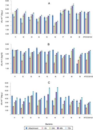 Detection of the adherence, entry (0h) and intracellular growing (24h, 48h and 72h) capacity of L. pneumophila on PBMCs (A), PMs (B) and A. castellanii trophozoites (C).