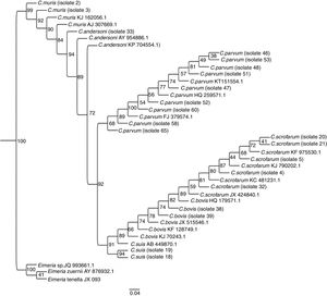 Evolutionary relationships among species C. parvum and C. muris, C. andersoni, C. suis, C. scrofarum, C. bovis inferred from a partial fragment of the 18S rRNA gene.