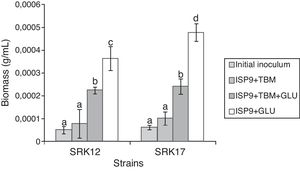 TBM effect on biomass production of SRK12 and SRK17 strains. The biomass was estimated on the different media after 3 weeks of incubation (30°C and 150rpm). Bars indicate SD from 3 replicates. Different letters indicate significant differences between biomass values (p<0.05).