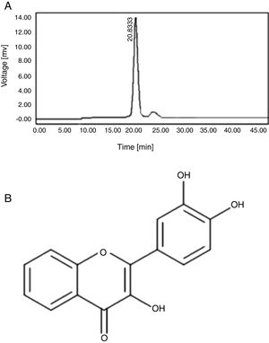 (A) HPLC fraction of CHF1; A single peak showing at RT 20.5min. (B) Structure of 3,3′,4′-Trihydroxyflavone; IR: 3336cm−1 OH stretch, 1588cm−1, 1471cm−1 aromatic ring stretching, 1416cm−1 CO stretch, 1195cm−1 C–O–C stretch, 1007cm−1, 781cm−1, 637cm−1 aromatic CH stretch,. 1H NMR (400MHz, DMSO-d6, ppm): δ 5.35 (s 2 protons, phenolic OH)δ 6.87–8.07 (m, 7H, phenyl rings), 9.24–9.51 (s, 1H, OH proton). 13C NMR (100MHz, DMSO-d6, ppm): δ 115.73, 116.0, 118.57, 120.44, 121.75, 122.74, 124.79, 125.1, 133.77, 138.29, 145.52, 146.57, 148.06, 154.81, 172.9. LC–MS m/z 272 (M+).