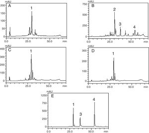 Phenolic profile of C. ambrosioides leaves: Crude extract (A, λ=365nm), chloroform fraction (B, λ=313nm), ethyl acetate fraction (C, λ=365nm), n-butanol fraction (D, λ=365nm) and standard compounds (e, λ=254nm): rutin (1), unidentified peak (2), quercetin (3) and crhysin (4). Chromatographic conditions described in the experimental section.