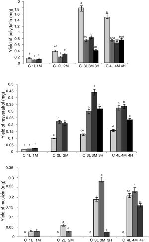 Optimization of co-culture conditions of RGT seedlings and Aspergillus sp. Different letters indicated significant differences among the treatments at p=0.05 level. C: control; 1: co-culture when RGT seedlings had taken root for 10d; 2: co-culture when RGT seedlings had taken root for 15d; 3: co-culture when RGT seedlings had taken root for 20d; 4: co-culture when RGT seedlings had taken root for 25d; L: final concentrations of Aspergillus sp. spores in media was 1×103mL–1;M: final concentrations of Aspergillus sp. spores in media was 1×104mL–1; H: final concentrations of Aspergillus sp. spores in media was 1×105mL−1.